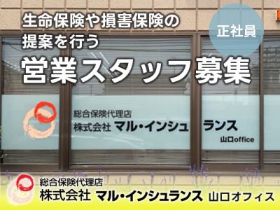 生命保険や損害保険の提案を行う営業スタッフ